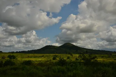 DSC_4381 (Large).JPG